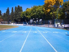 Subsecretaria de Inclusión Deportiva, Subsecretaria de Deportes, Subsecretaria de alto rendimiento